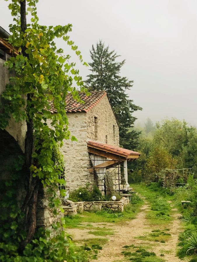 Les Vignals Et Evenements Cevennes * Arphy