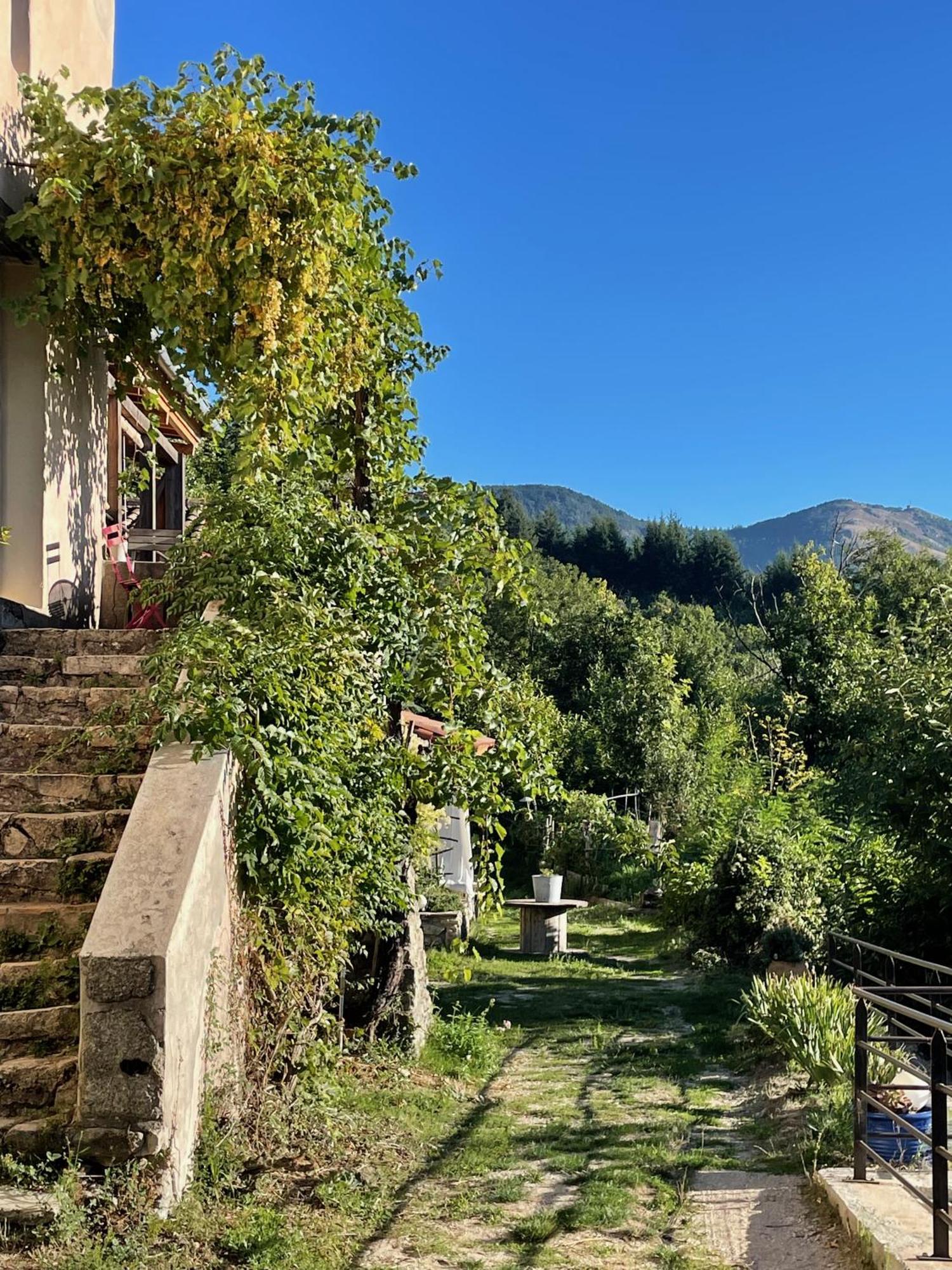 Ferienhaus Les Vignals Et Evenements Cevennes